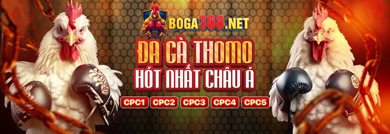 Đá gà trực tuyến Win66 với không khí sôi động